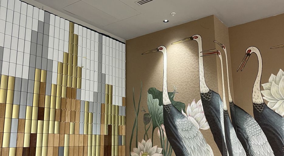 Soluxe Huaming (Хуамин) -3