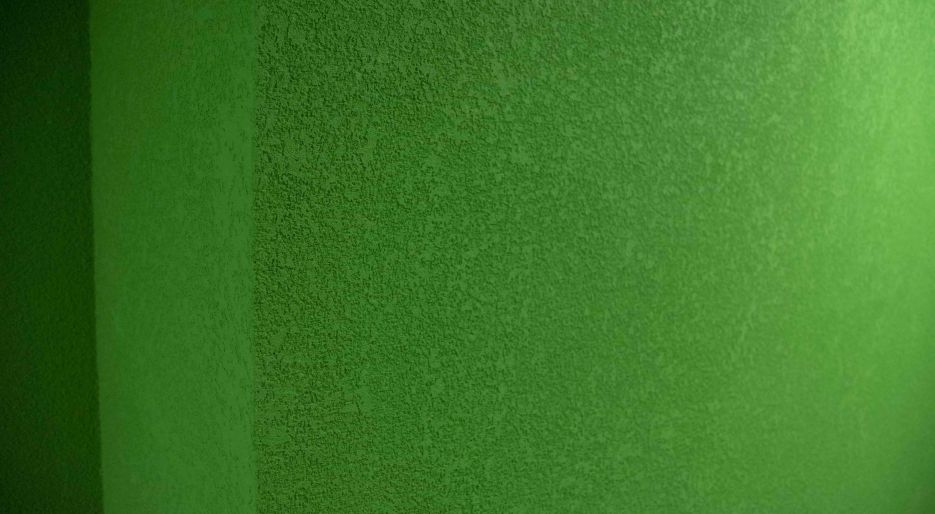 ФОК "Торпедо"-4